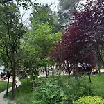 View Premium