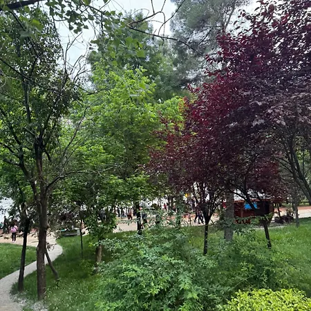 View Premium